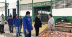 Mercado Municipal Recebe Exposição de Artesanato Colonial