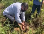 Mutirão de Reflorestamento Recupera Nascentes na Zona Rural